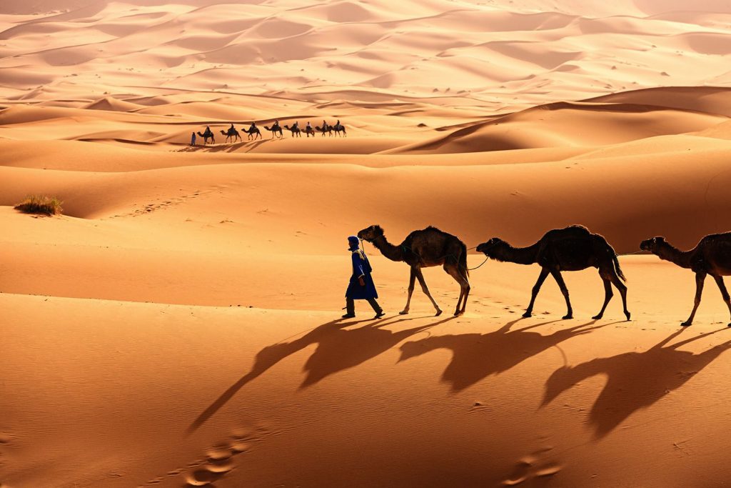George Egbuonu - Visit Sahara Desert