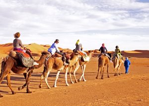 Ride a Camel